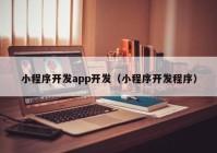 小程序開發(fā)app開發(fā)（小程序開發(fā)程序）