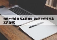 微信小程序開發(fā)工具app（微信小程序開發(fā)工具在哪）