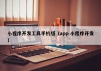 小程序開發(fā)工具手機版（app 小程序開發(fā)）