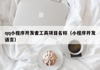 qq小程序開發(fā)者工具項(xiàng)目名稱（小程序開發(fā)語言）